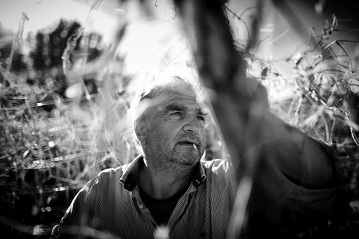 3VoglieLAB:  è tempo di legumi autoctoni e storie di biodiversità