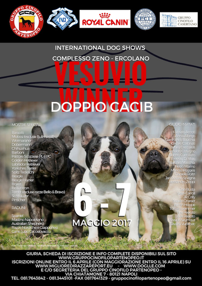Vesuvio Winner: Esposizione canina internazionale al complesso Zeno di Ercolano